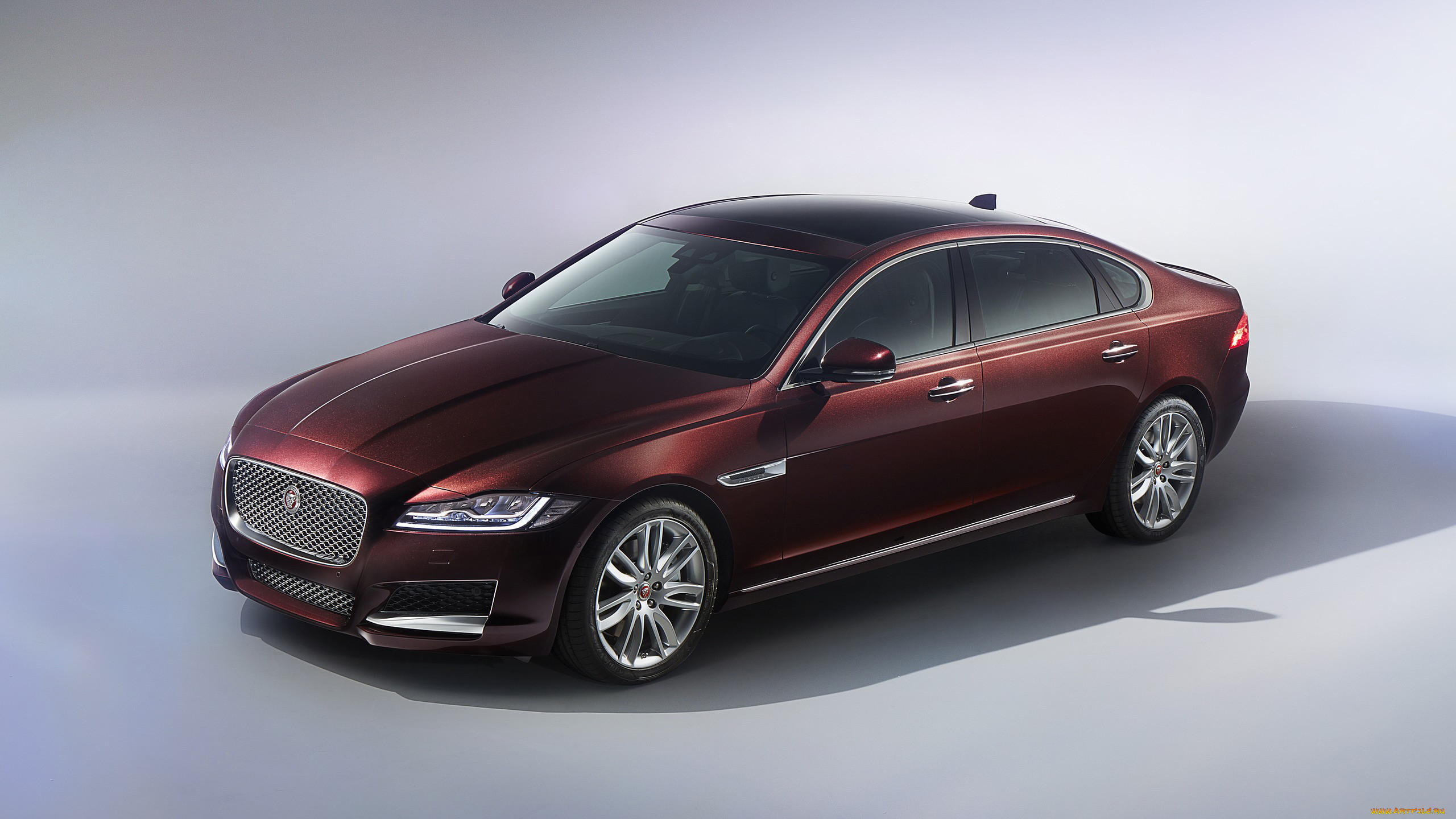 jaguar xfl, , jaguar, , xfl, car